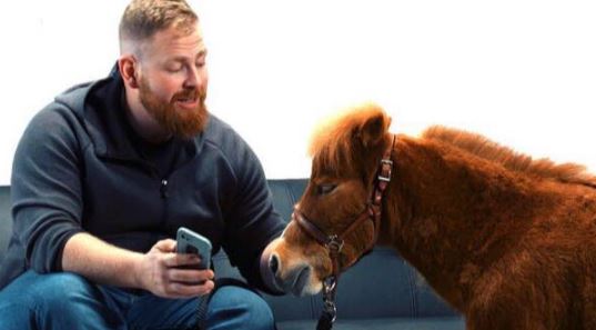 Kiwi & Reggie a Millennial Depression Comedy - Cavallo Mini Horse Hoof Boots
