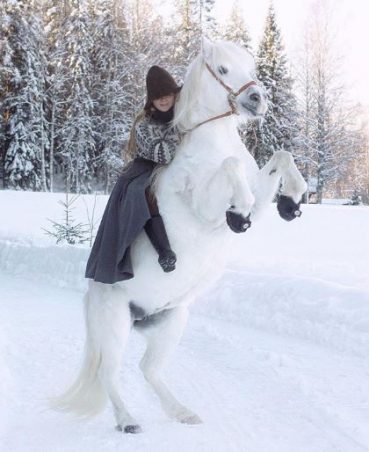 @NORNEA - Instagram Cavallo Trek horse Hoof Boot in snow ice