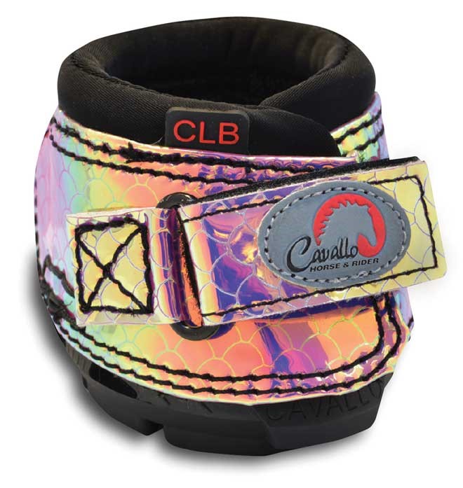 Is Money Belt the Most Expensive Championship Belt? -Championship Belt