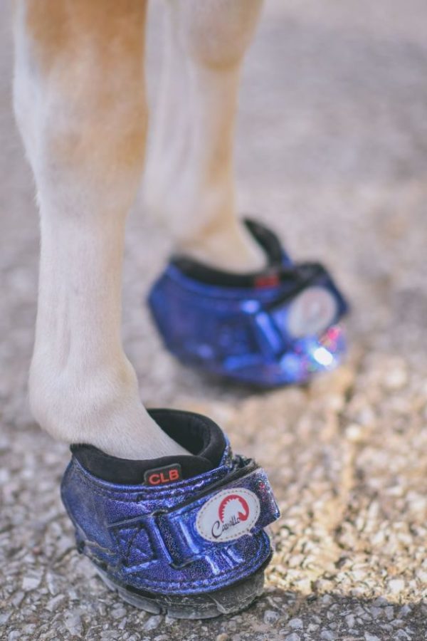 Cavallo CLB Metallic Blue mini horse hoof boots