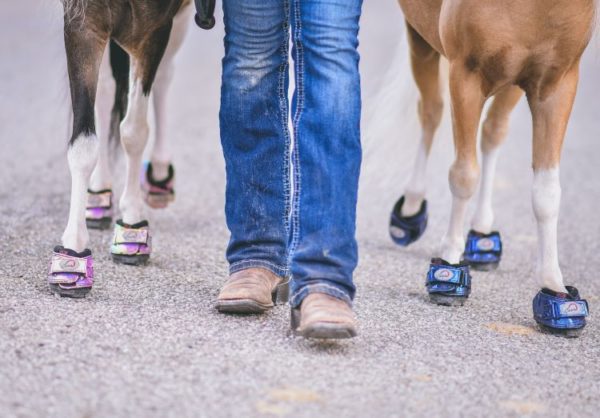 Cavallo CLB Metallic Blue & Unicorn Pink mini horse hoof boots