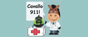 Cavallo hoof boots broken bone laminitis