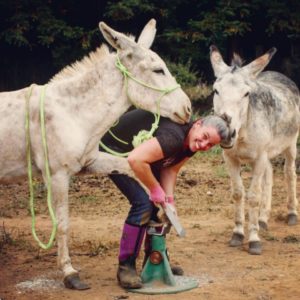 Megan Hensley Mule Donkey farrier Cavallo Hoof Boots