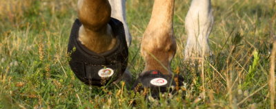 sold individually Free horse or dog decal $6 value Cavallo Trek Hoof boots 
