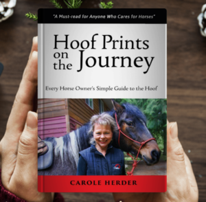 Carole Herder's book - Hoof Prints on the Journey, natural horse care
