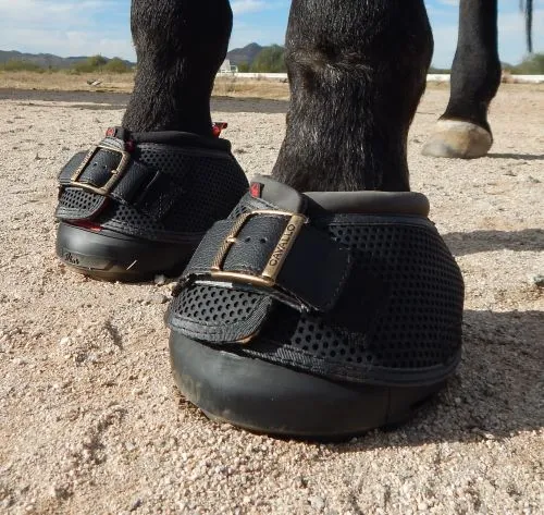 Black Cavallo Trek Hoof Boots with Buckle Straps