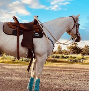Cavallo Hoof Boots Saddle Pad Review