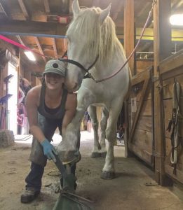 Hoof Care Plan includes a great trimmer - Maia Chaput