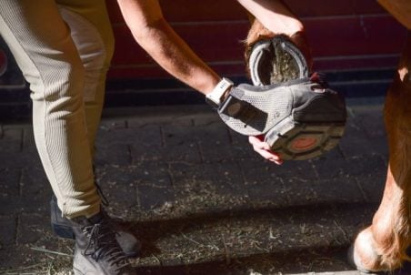 Putting Cavallo Hoof Boot over shod horse horseshoes metal..