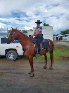 mounted Patrol Unit - Cavallo Hoof Boots Review