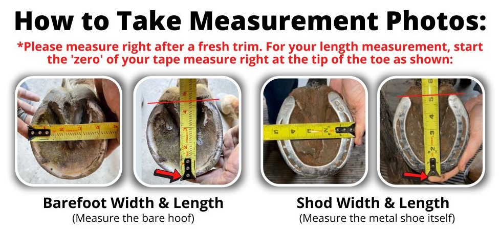 How to measure for Cavallo Horse Hoof Boots