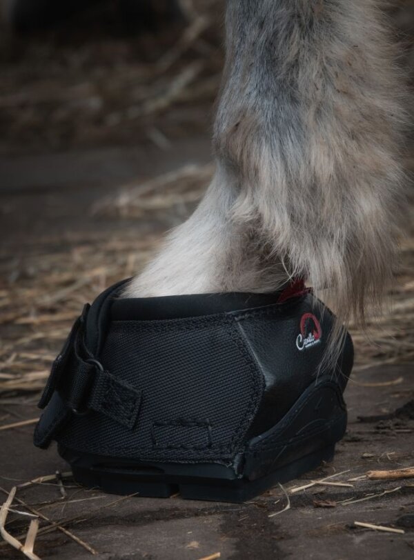 Horse wearing Cavallo hoof boot on a stable floor, showcasing durable equine gear for optimal hoof protection.