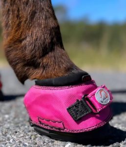 Cavallo LEB Long Ear Hoof Boot for Donkeys