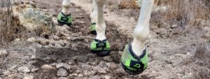 Green Trek Horse Hoof Boots by Cavallo
