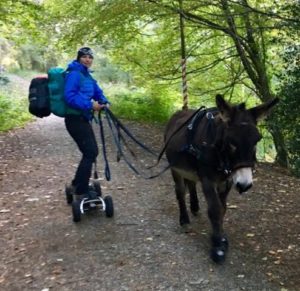 Emma Massingale horse boarding donkeys Cavallo Hoof Boots