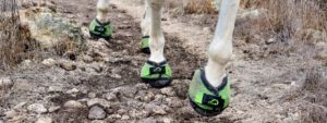Cavallo Trek Green Hoof Boot rough terrain