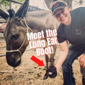 Meet the new LEB Cavallo Hoof Boot for donkeys mules.jpg2