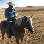 Cavallo Saddle Pad review