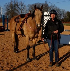 Cavallo Horse Hoof Boot Review Carol Ricena