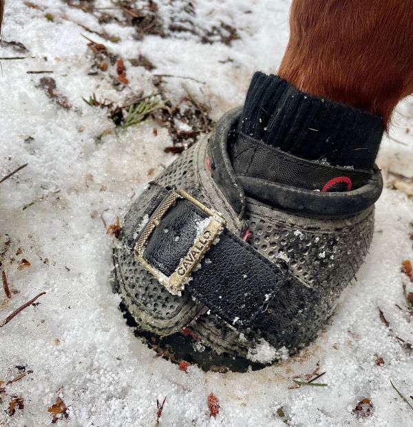 Cavallo Trek Boot with Buckle Strap in snow