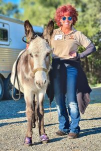 Megan Hensley the Donkey Farrier with Cavallo LEB Hoof Boots at Donkey Welfare Symposium 2022
