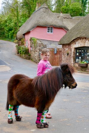 Patrick the pony Mayor of Cockington UK - Cavallo Hoof Boots
