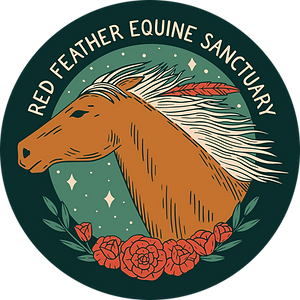 red feather equine rescue