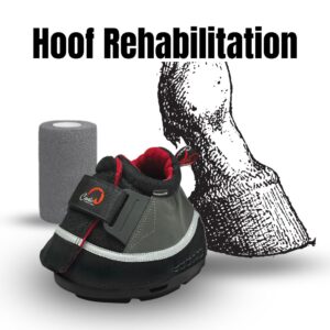 Transport Air Hoof Boots for hoof issues