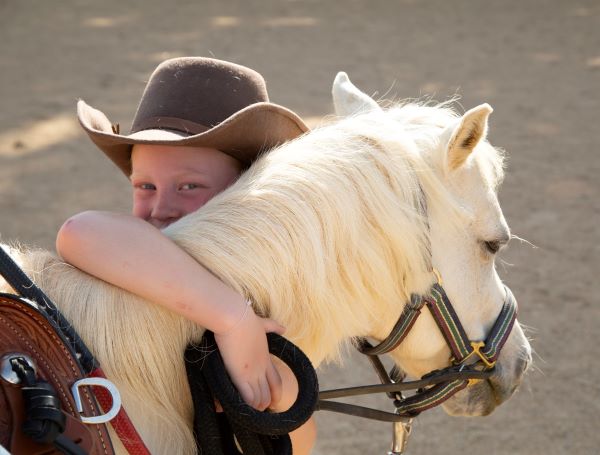 Laminitis pony finds comfort with hoof boots