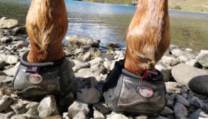 Cavallo Trek Hoof Boots on rough terrain