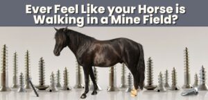 Prepare for a Horse Hoof Puncture with hoof boots