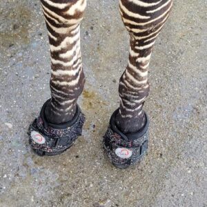 Zebra with Laminitis wearing Cavallo CLB Bling Mini Hoof Boots