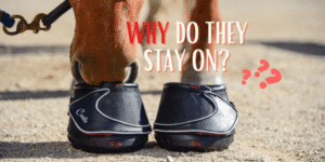 Why do Cavallo horse Hoof Boots stay on?