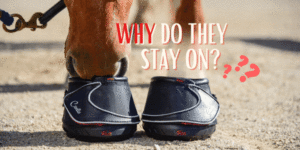 Do Cavallo horse hoof boots stay on the hoof?