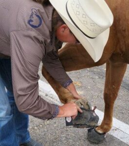 Pro horse roper Kim Grubbs uses Cavallo Hoof Boots over metal horseshoes