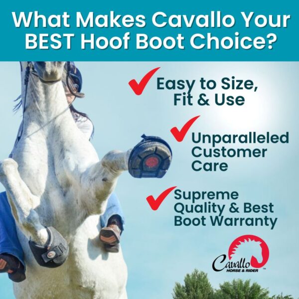 Why Cavallo Hoof Boots are the BEST Choice