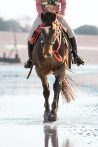 Amy George Trek UK rider Cavallo Hoof Boots