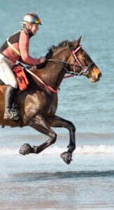 Cavallo ELB Hoof Boots on the beach