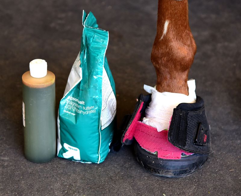 Plastic Horseshoes Size US 3 - EU 150 HOOF-it Natural Flex Horseshoe