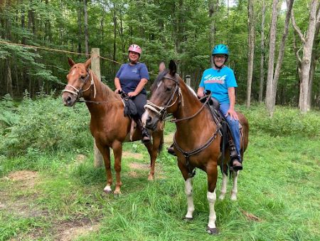 Navicular horse helped by Cavallo hoof boots