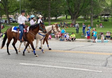 Navicular horse helped by hoof boots