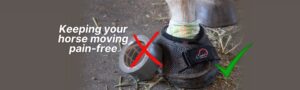 Cavallo hoof boots to help with Laminitis and other hoof ailments for rehabilitation