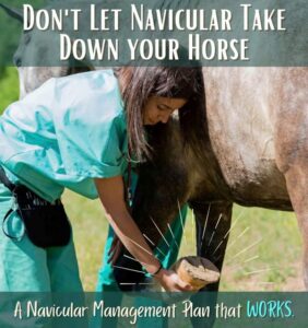 Using Cavallo Hoof Boots for Navicular Syndrome