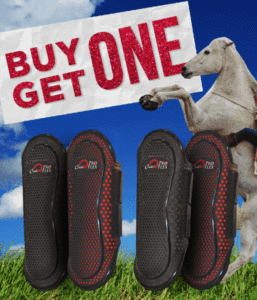 Cavallo ProFlex Splint Leg Boots on Sale!