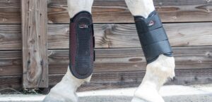 Cavallo red ProFlex splint boots