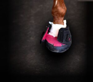 Cavallo Hoof Boots for Laminitis