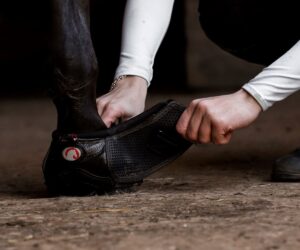 Cavallo horse Hoof Boots are easiest to use