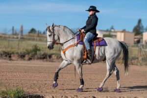 Cavallo Purple Trek Hoof Boots in action