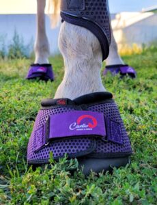 New Cavallo Purple Trek Horse Hoof Boots
