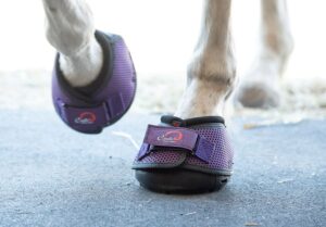 Cavallo NEW Purple Trek Horse Hoof Boots
